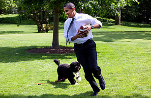 Obama and Bo the Dog
